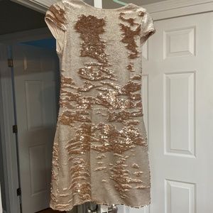 Flippy Sequins dress